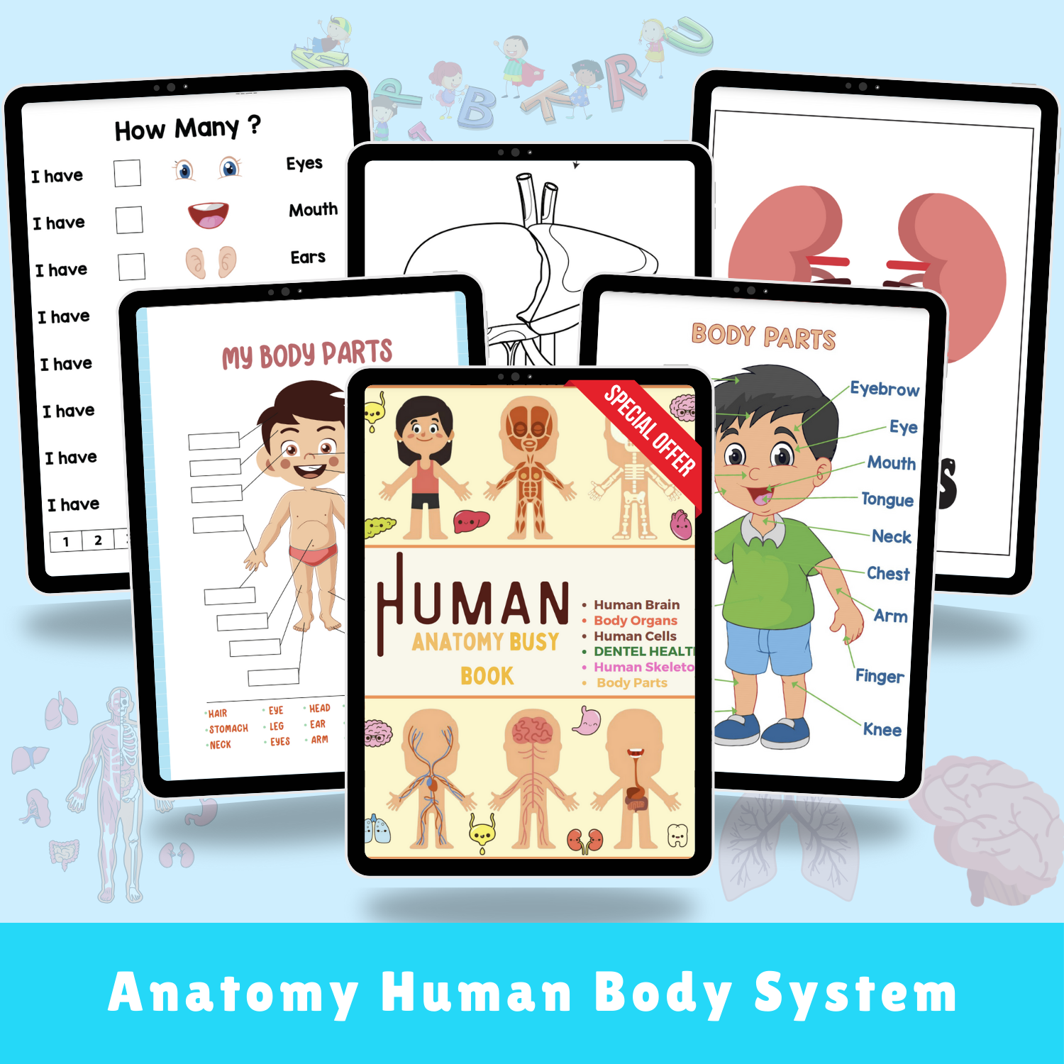 Human Anatomy Busy Book for Kids – 100+ Printable Worksheets & Activities | Body Parts, Organs, Skeleton & More